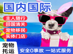 普洱思茅空运国际宠物托运 【国
